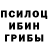 Галлюциногенные грибы GOLDEN TEACHER Fima Hig