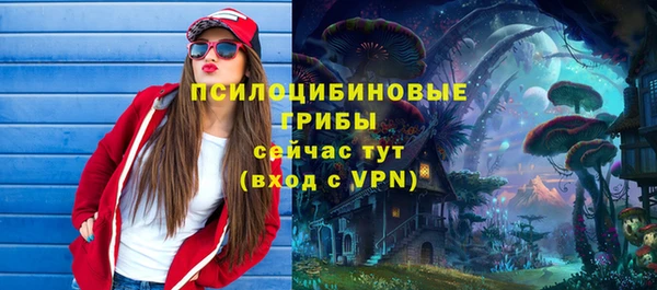 а пвп мука Нея
