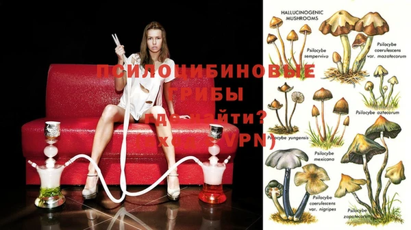 а пвп мука Нея